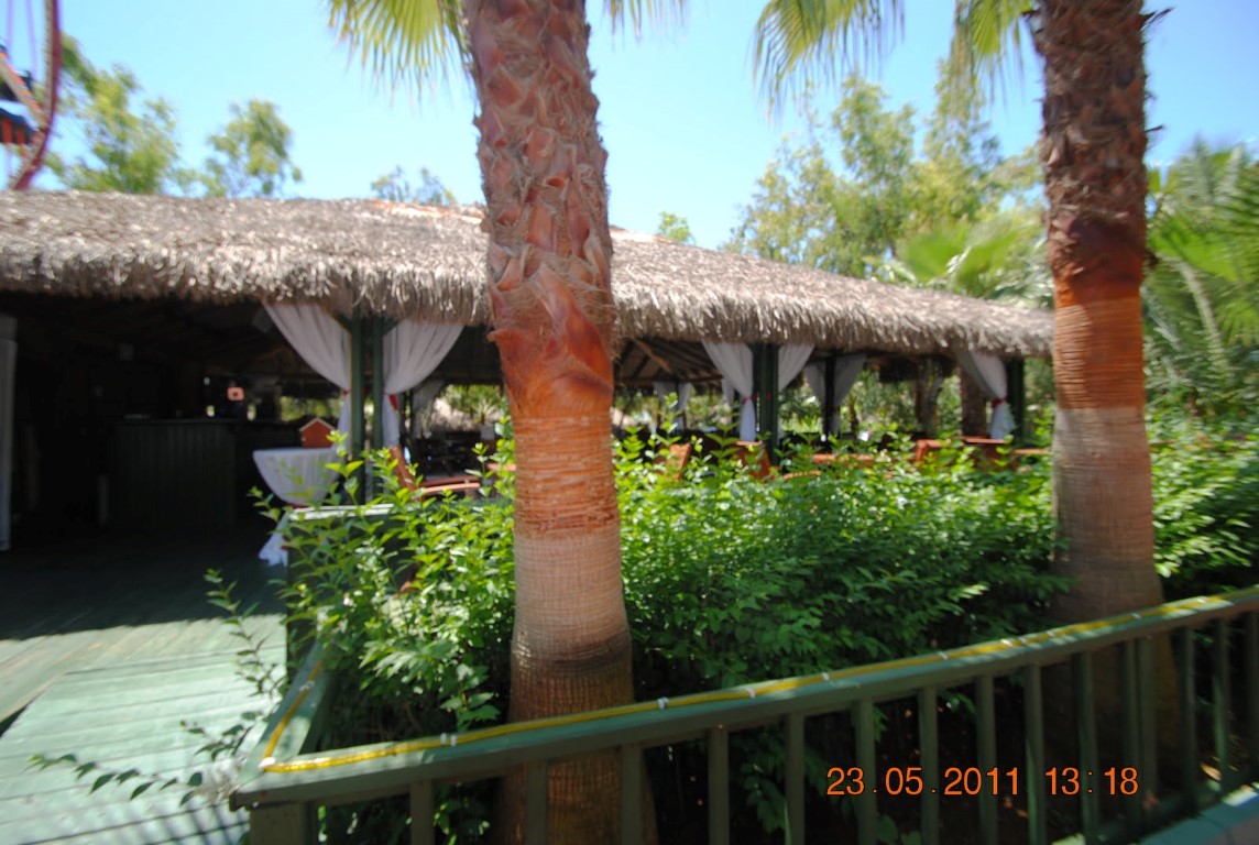 imagini hotel DELPHIN DELUXE ALANYA